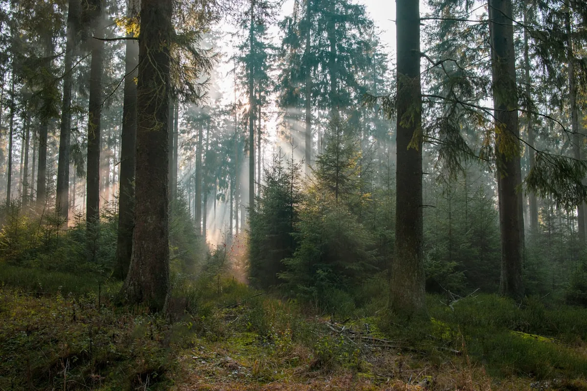Krkonoše naplno